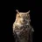 nightowl88
